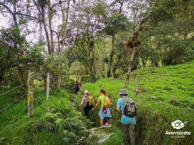 Viaje a COLOMBIA  amazonas 5 