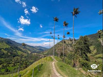 Viaje a COLOMBIA  amazonas 5 