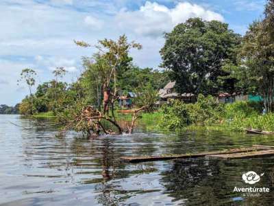 Viaje a COLOMBIA  amazonas 5 