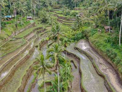 Viaje a INDONESIA (Bali y Komodo) 5 