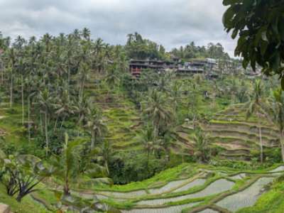 Viaje a INDONESIA AL COMPLETO (Java, Bali y Komodo) 5 