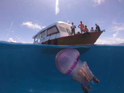 Viaje a Maldivas buceo 5 