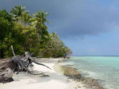 Viaje a Maldivas buceo 5 