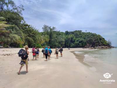 Viaje a Malasia (con borneo) 5 