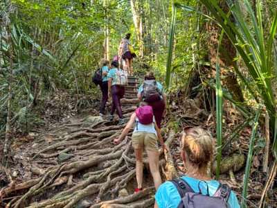 Viaje a Malasia (con borneo) 3 
