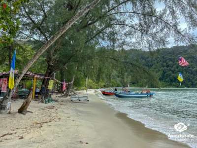 Viaje a Malasia (con borneo) 5 