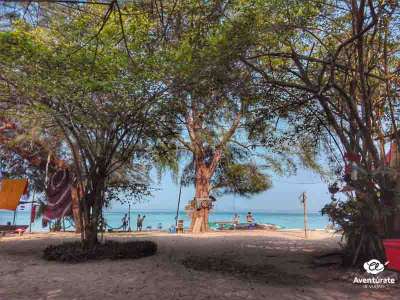 Viaje a Malasia (esenciales) 5 