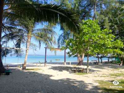 Viaje a Malasia (esenciales) 5 