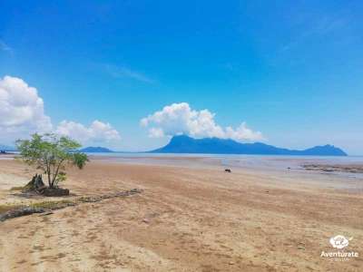 Viaje a Malasia (esenciales) 5 