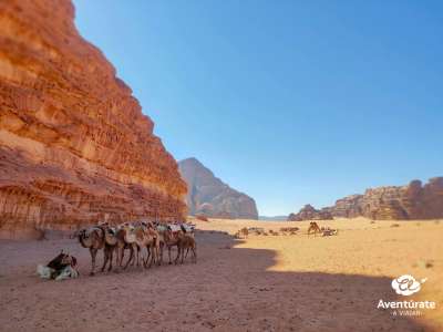 Viaje a JORDANIA (invierno) 5 