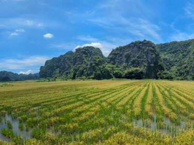 Viaje a Vietnam (norte) 5 