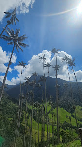 Foto de la reseña