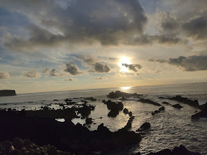 Foto de la reseña