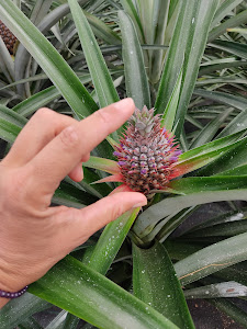 Foto de la reseña