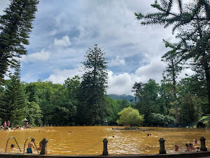Foto de la reseña