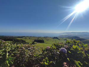 Foto de la reseña