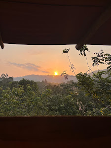 Foto de la reseña