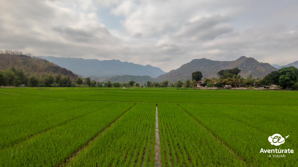 MAI CHAU vietnam