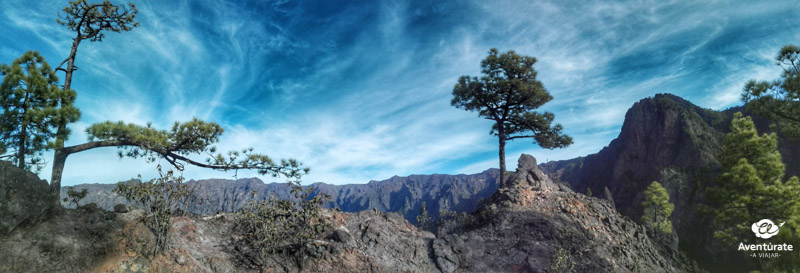 viajar por la palma canarias