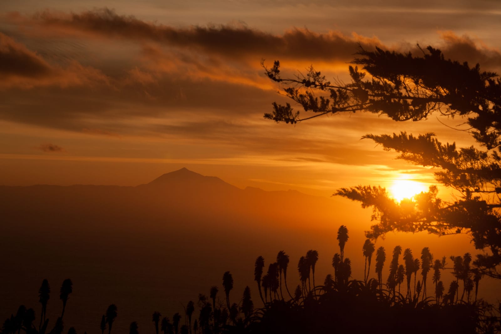 isla de la palma españa
