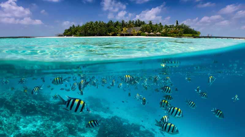 buceo en maldivas