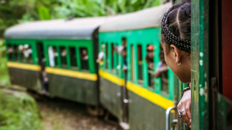 tren de la selva madagascar