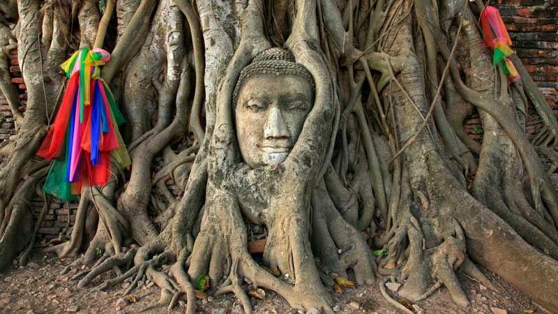 Ayutthaya tailandia