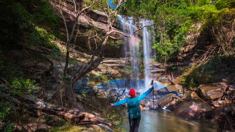 selva en tailandia